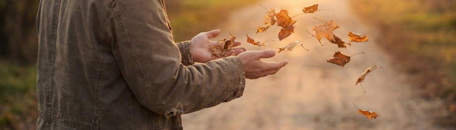 Personne laissant partir des feuilles d’automne, illustration de 2025 dans l’article original